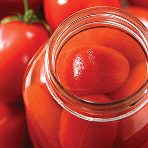 TOMATOES PACKED IN WATER