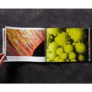 bookfood photography, coffee table book, art book, photography book, modernist cuisine