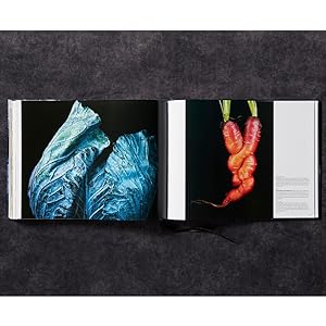 food photography, coffee table book, art book, photography book, modernist cuisine