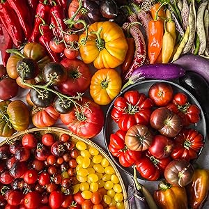 Easy and delicious vegetable-forward recipes and preservation techniques to feed your whole family