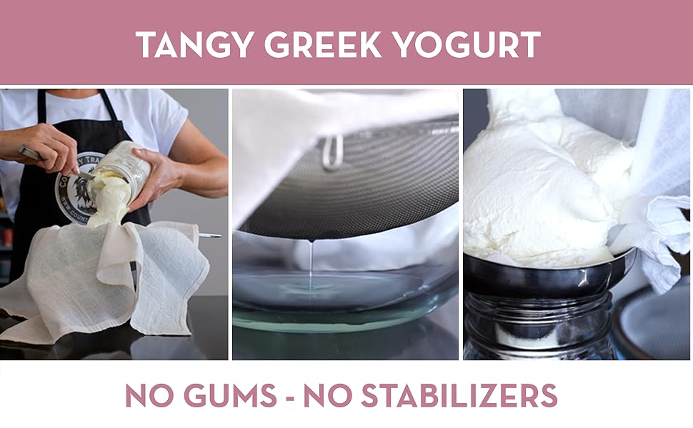 a2 milk whole vegan greek yogurt coconut yogurt starter non diary yogurt diary free yogurt soy 