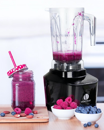 VENTRAY PROFESSIONAL 600 BLENDER 