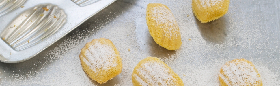 Lemon Madeleines