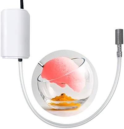molecular gastronomy