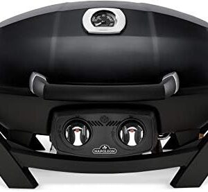 portable gourmet barbecues