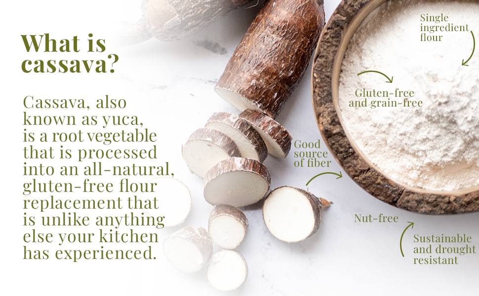 What is cassava? 