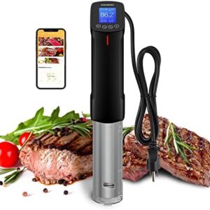 sous vide machines