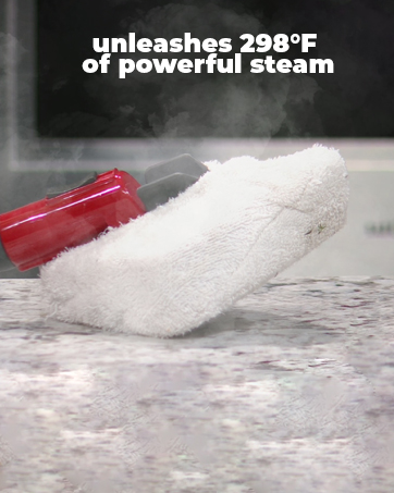 powerful steam, easy to use, portable, steam cleaner