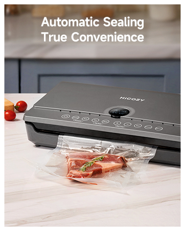 vacuum sealer