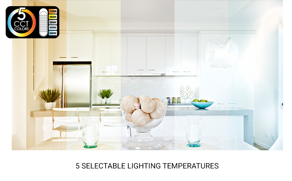 5 color selectable led lights