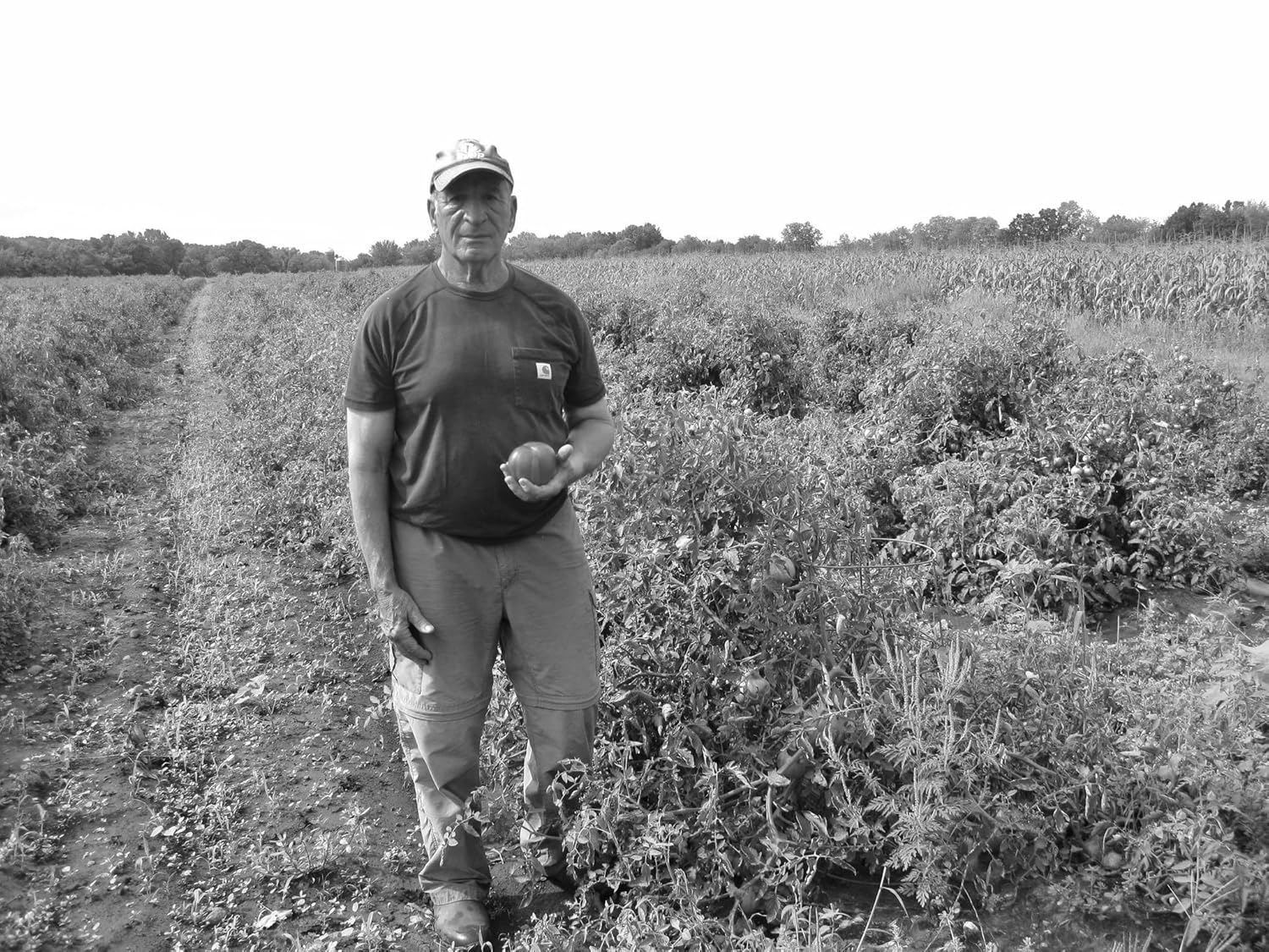 The Dish: The Lives and Labor Behind One Plate of Food - Image 4