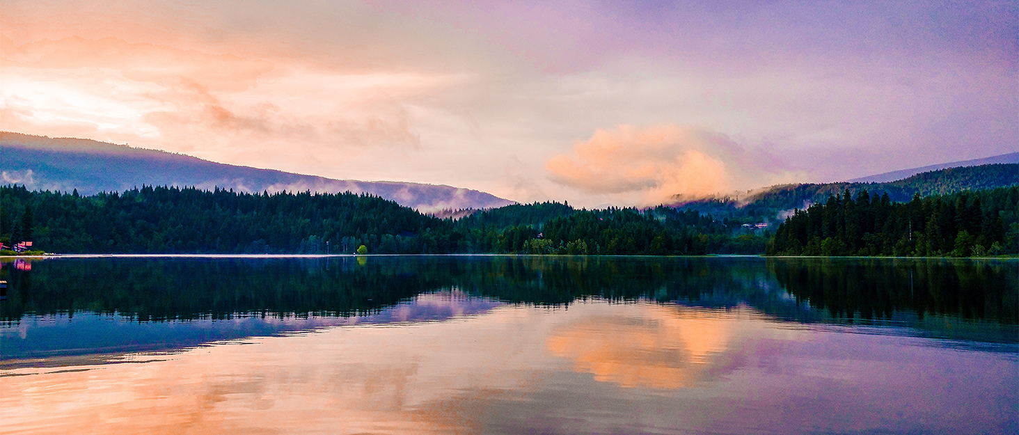 Taiga Wild Scenery Background Large