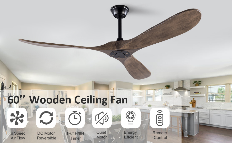 Ceiling Fan