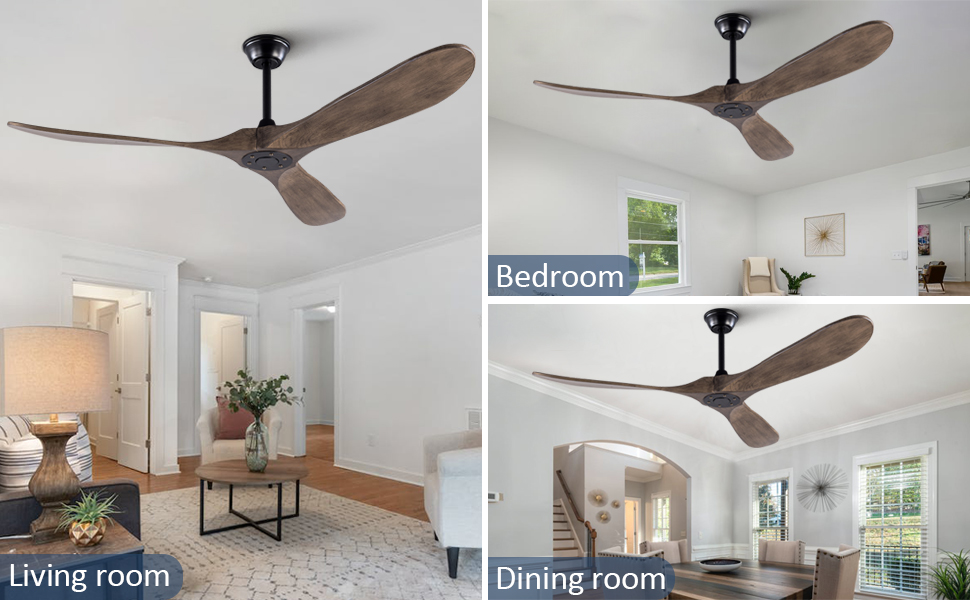 Outdoor Ceiling Fan