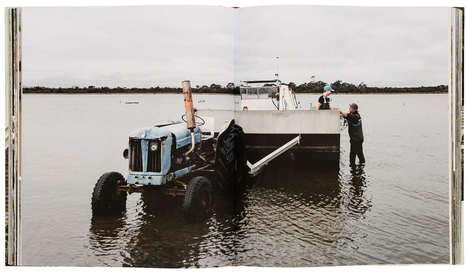 Farmlife: From Farm to Table and New Farmers - Image 7