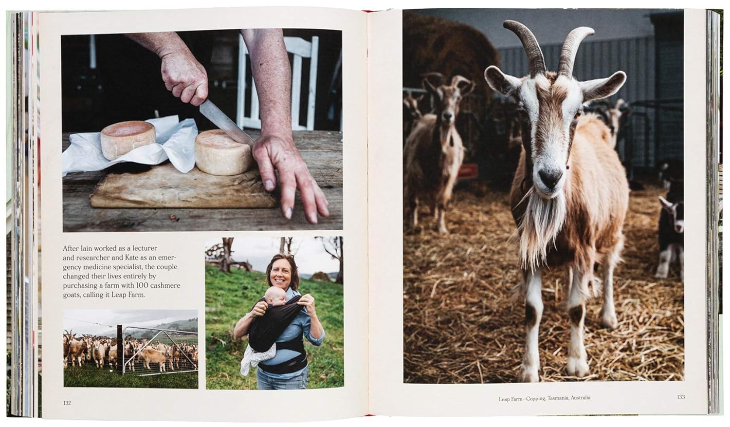 Farmlife: From Farm to Table and New Farmers - Image 6