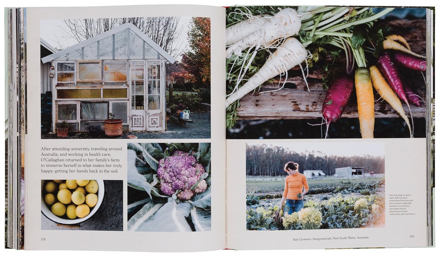 Farmlife: From Farm to Table and New Farmers - Image 10