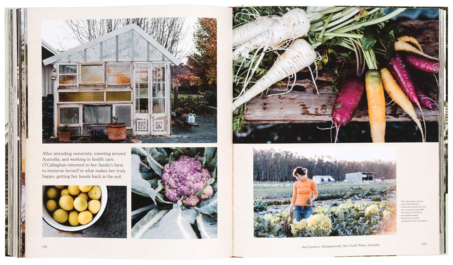 Farmlife: From Farm to Table and New Farmers - Image 9