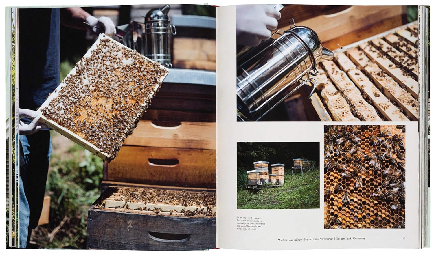 Farmlife: From Farm to Table and New Farmers - Image 5