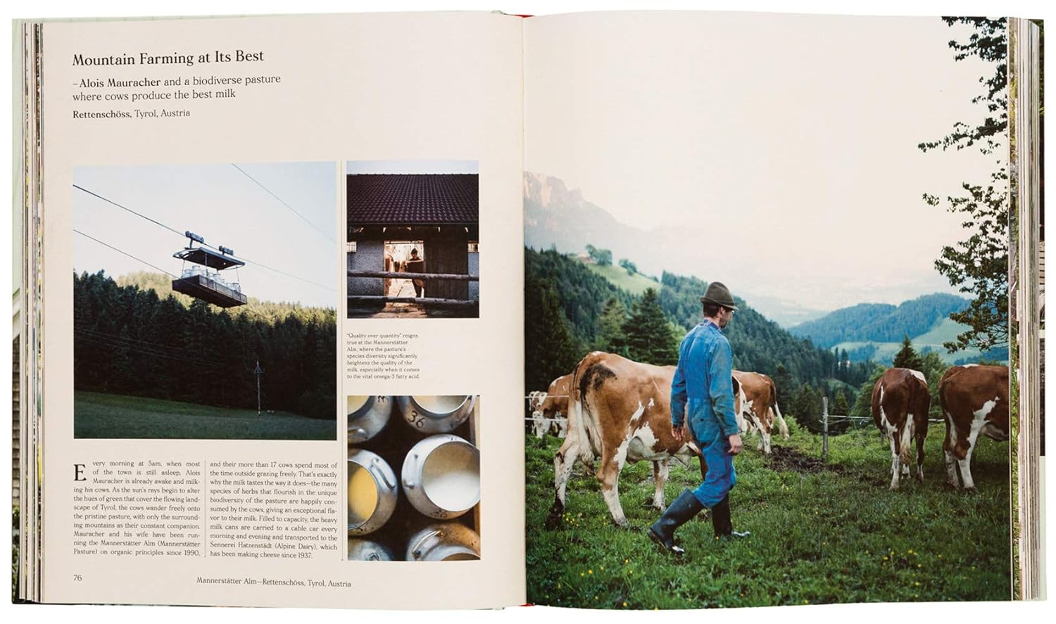 Farmlife: From Farm to Table and New Farmers - Image 4