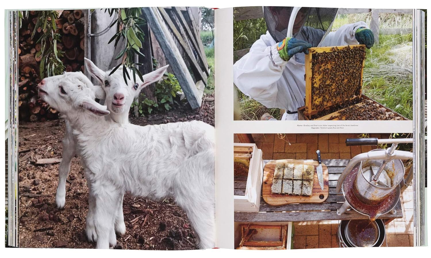 Farmlife: From Farm to Table and New Farmers - Image 3