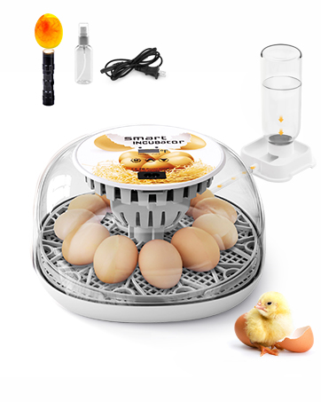 Egg Incubator for Hatching Chicks