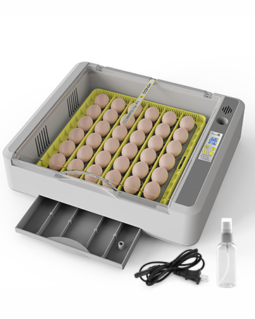 Egg Incubator for Hatching Chicks