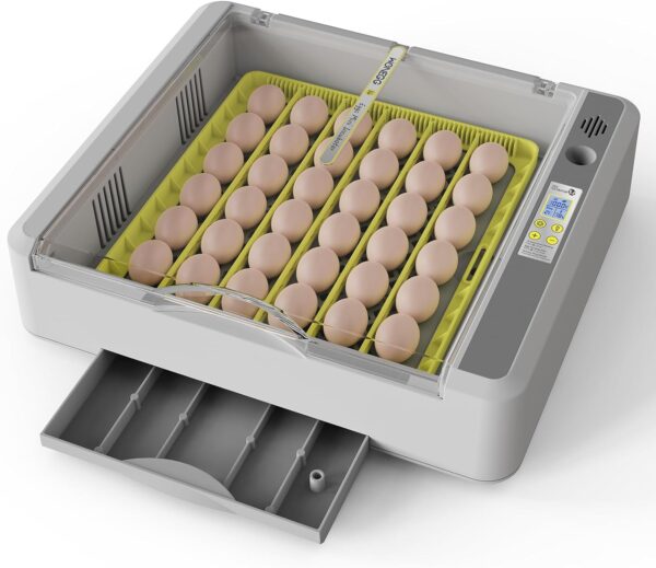 digital humidity and temperature controllers