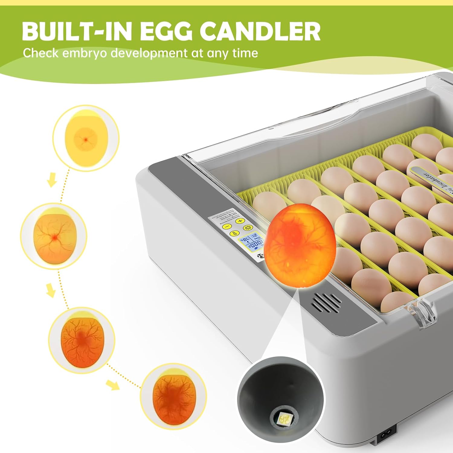 Egg Incubator for Hatching Chicks, 36 Eggs Automatic Egg Turner with Temperature & Humidity Control, Multifunctional Ultra-Clear Panoramic View with Hatch Days & Egg Candler for Egg, Duck, Geese, Bird - Image 5