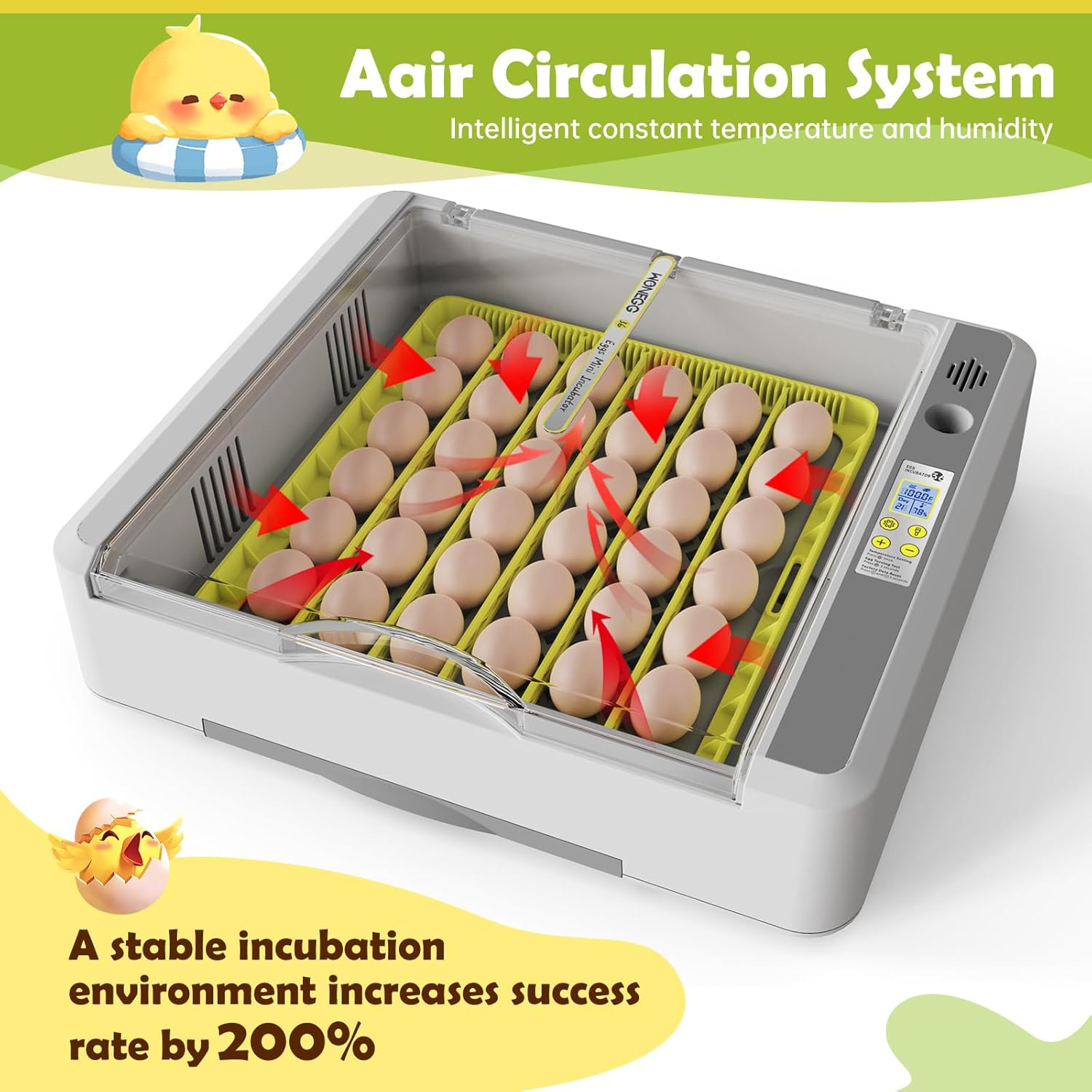 Egg Incubator for Hatching Chicks, 36 Eggs Automatic Egg Turner with Temperature & Humidity Control, Multifunctional Ultra-Clear Panoramic View with Hatch Days & Egg Candler for Egg, Duck, Geese, Bird - Image 2