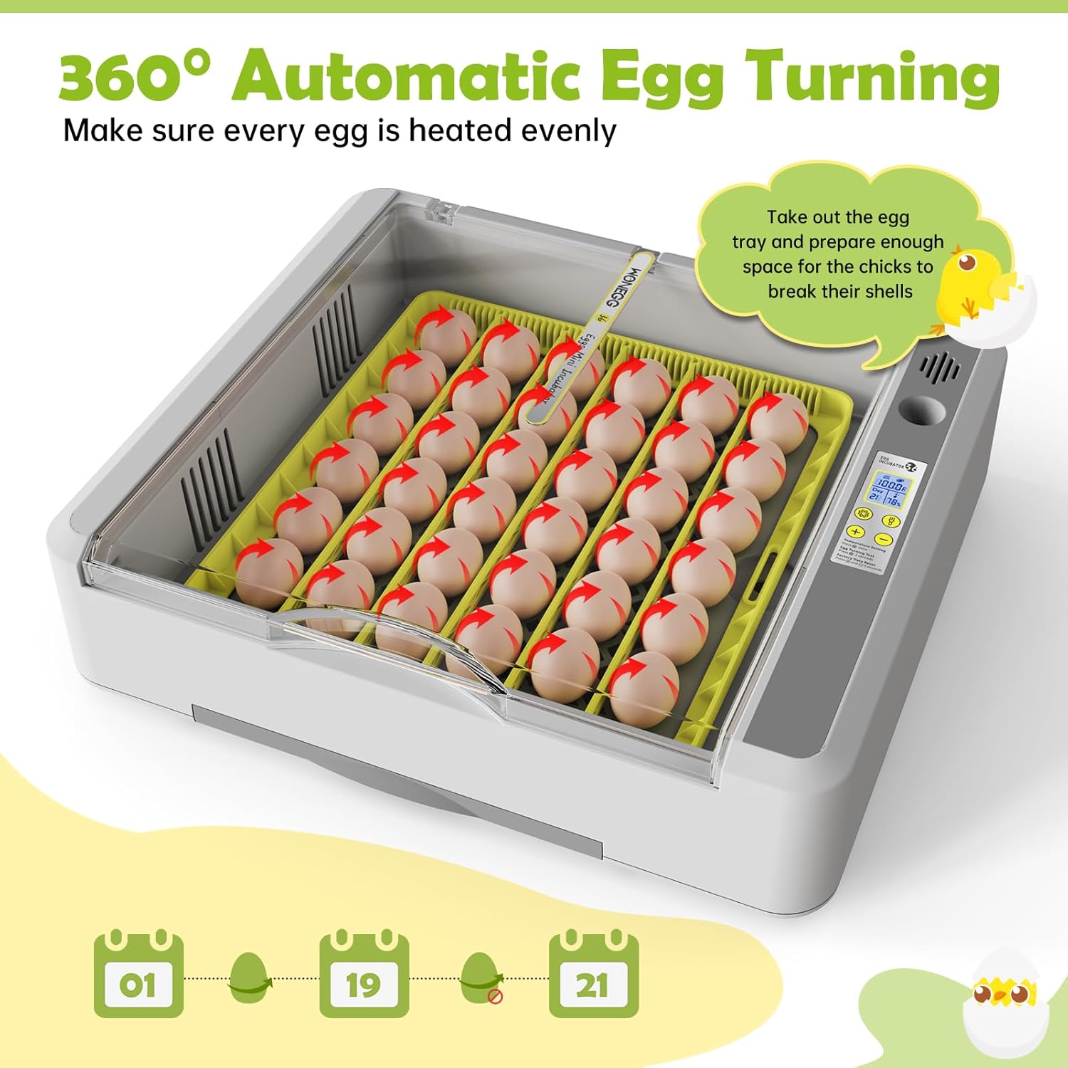 Egg Incubator for Hatching Chicks, 36 Eggs Automatic Egg Turner with Temperature & Humidity Control, Multifunctional Ultra-Clear Panoramic View with Hatch Days & Egg Candler for Egg, Duck, Geese, Bird - Image 4