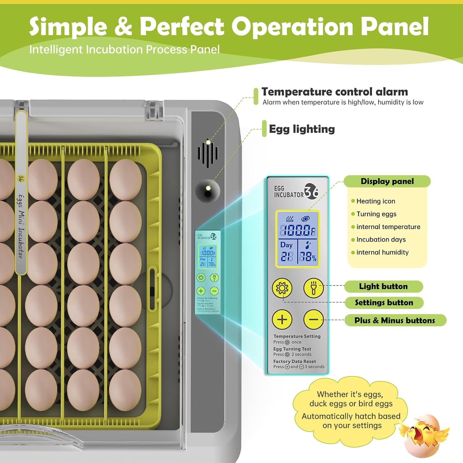 Egg Incubator for Hatching Chicks, 36 Eggs Automatic Egg Turner with Temperature & Humidity Control, Multifunctional Ultra-Clear Panoramic View with Hatch Days & Egg Candler for Egg, Duck, Geese, Bird - Image 3