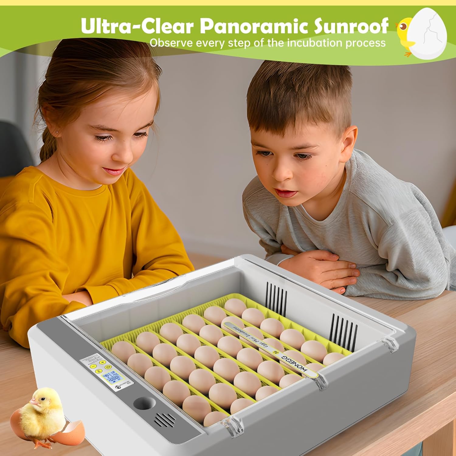 Egg Incubator for Hatching Chicks, 36 Eggs Automatic Egg Turner with Temperature & Humidity Control, Multifunctional Ultra-Clear Panoramic View with Hatch Days & Egg Candler for Egg, Duck, Geese, Bird - Image 7