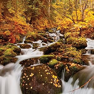 A time lapse photo of a medium sized stream in the fall. 