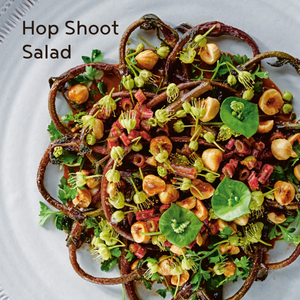 hop salad