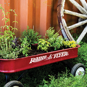 Mobile Herb Garden