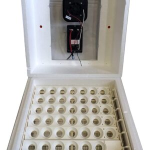 digital humidity and temperature controllers