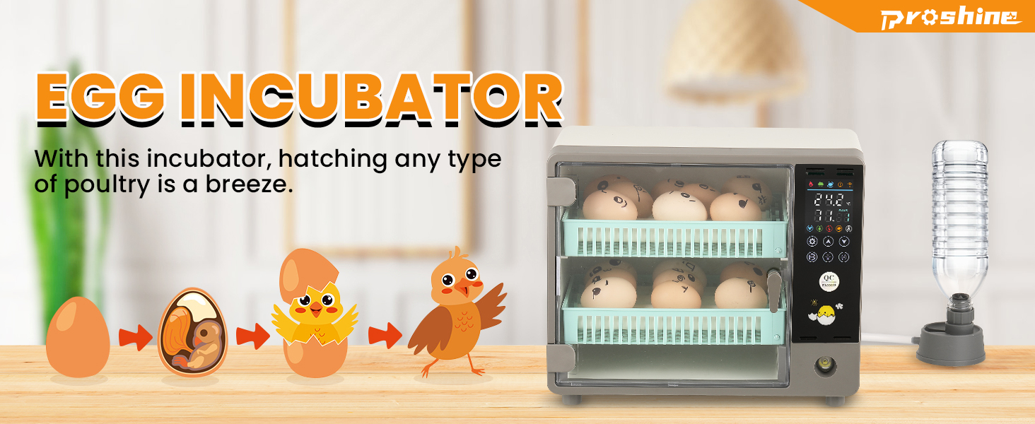 egg incubator