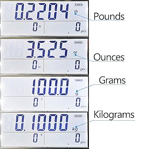 Counting Scale
