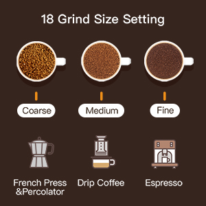 coffee grinder burr