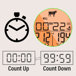 grilling thermometer