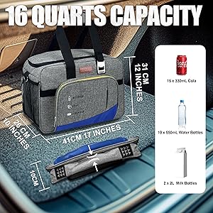 Electrical Cooler Bag