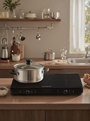 induction cooktop 2 burner